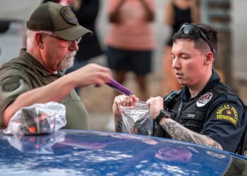 Suspect arrested with ammo near Paxton campaign office as Texas votes