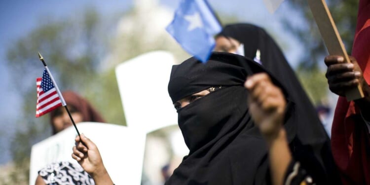 Founder of Minneapolis autism center admits to paying kickbacks to Somali families in $6 million scam