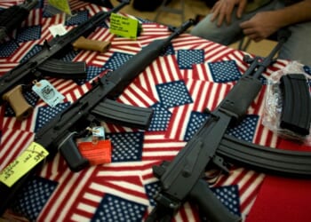 Second Amendment advocate says Minnesota Dems tried to block her testimony