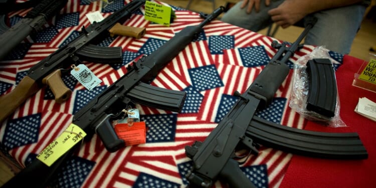 Second Amendment advocate says Minnesota Dems tried to block her testimony