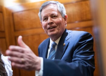 Steve Daines won't seek reelection to Montana Senate seat