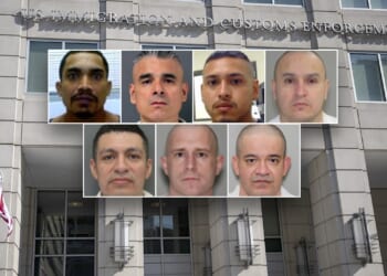 ICE Houston nabs hundreds of child sex offenders during Trump's first year back