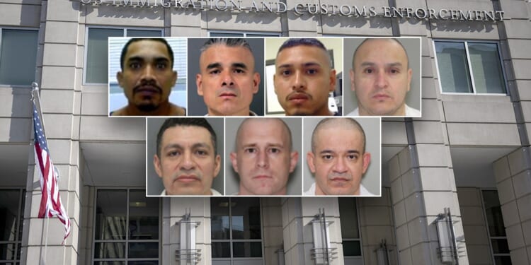 ICE Houston nabs hundreds of child sex offenders during Trump's first year back