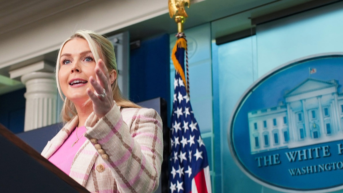 White House Press Secretary Karoline Leavitt speaks during a news briefing