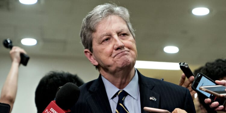 Dem witness argues immigrants 'benefit' country by reducing deficit