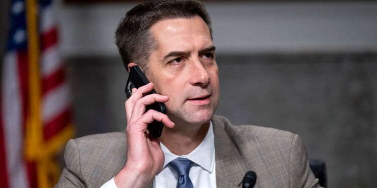 Cotton charges Biden drained strategic oil stockpile for political gain