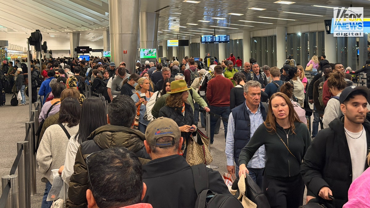 U.S. citizens and Green Card holders standing in a long line to clear immigration at an airport.