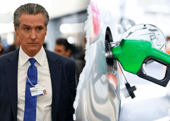 Critics turn tables on Newsom's 'insane' climate policies after Trump gas prices knock