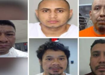 ICE arrests child-diddlers and ecstasy traffickers while Dems try to 'score brownie points,' DHS says