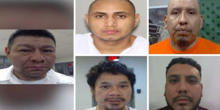 ICE arrests child-diddlers and ecstasy traffickers while Dems try to 'score brownie points,' DHS says