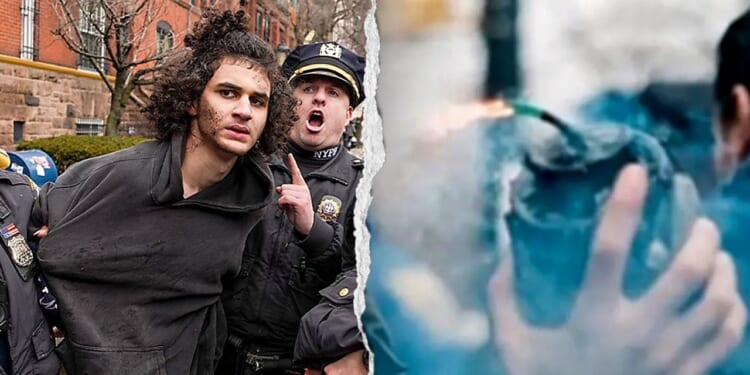 Michigan Senate candidates split on DHS funding after terror incidents