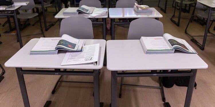 Why Johnny still can’t read: The curriculum cartel doesn’t want reform