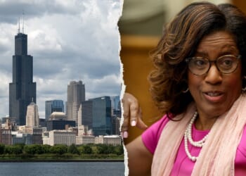 Donna Miller beats Jesse Jackson Jr in Illinois Democratic primary