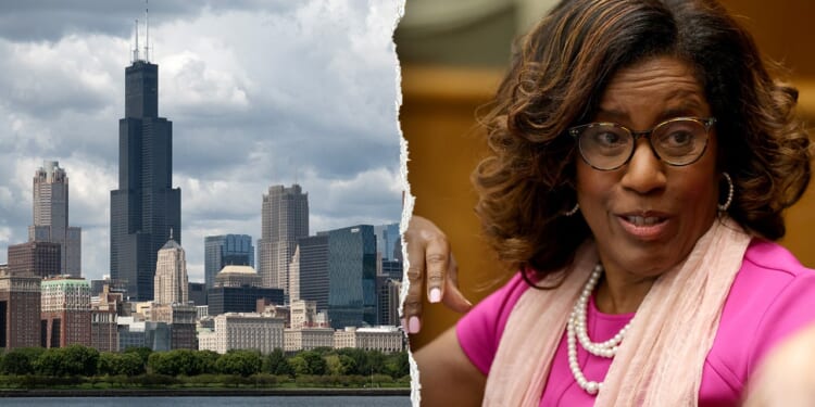 Donna Miller beats Jesse Jackson Jr in Illinois Democratic primary