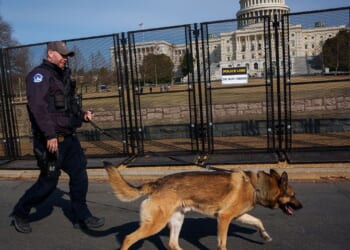 House Democrats oppose Republican bill targeting attacks on police dogs