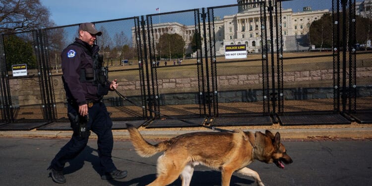 House Democrats oppose Republican bill targeting attacks on police dogs