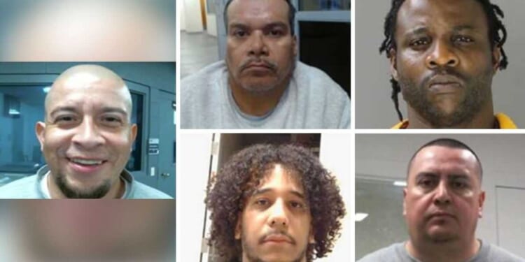 ICE takes down murderers and child predator in latest roundup