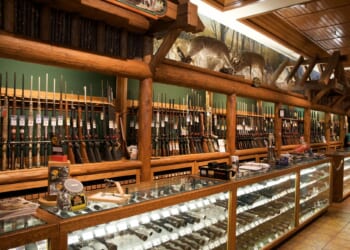 Democrats Love Gun Control And Violent Criminals Because Both Can Punish You