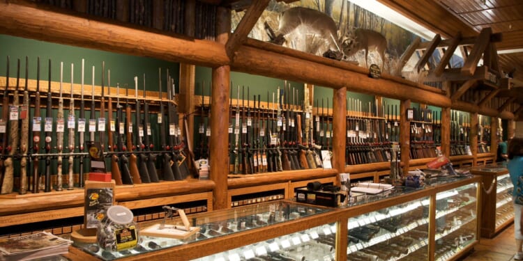 Democrats Love Gun Control And Violent Criminals Because Both Can Punish You