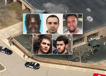 Emmer says recent terror attacks expose flaws in US law, pushes SCAM Act