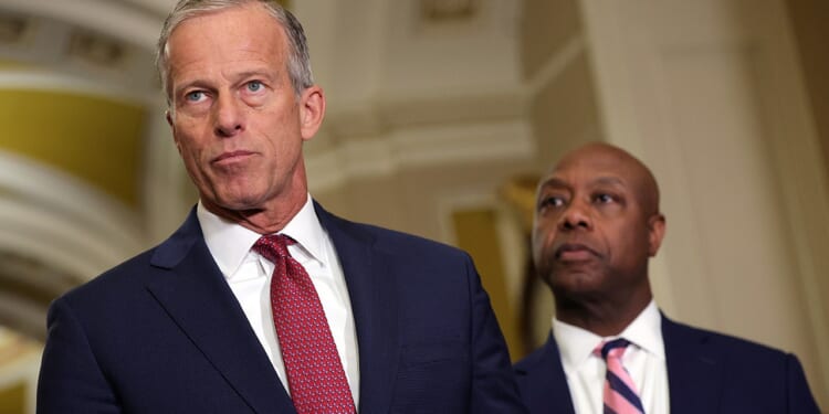 Sens John Thune and Tim Scott endorse Rep Kevin Hern for US Senate