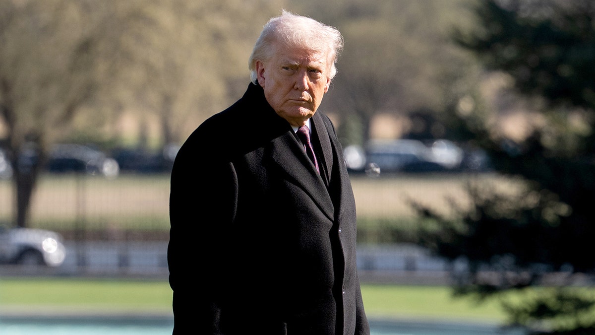 President Donald Trump