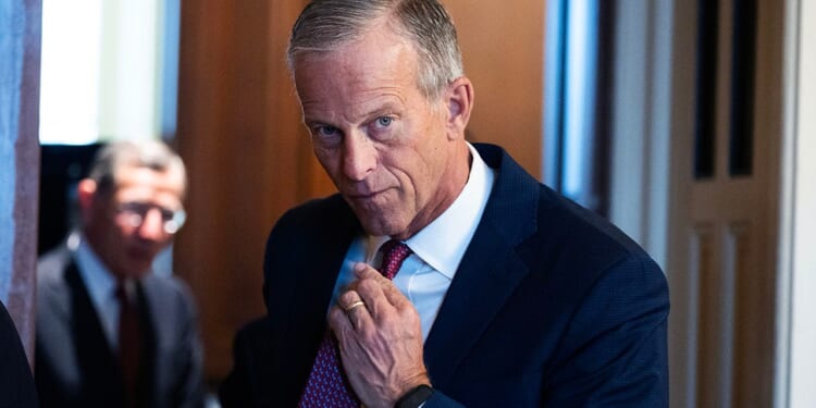 Thune says Senate Democrats have no excuse to keep blocking DHS funding