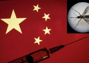 Chinese scientists have turned mosquitoes into flying vaccines — that can still bite humans