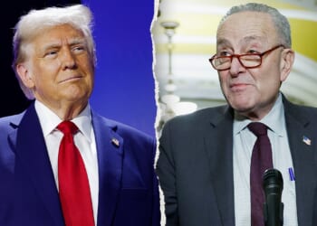 Schumer calls Trump's plan to deploy ICE agents to US airports 'impulsive'