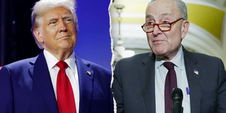 Trump mocks Schumer on Truth Social for his Senate floor ICE near gaffe