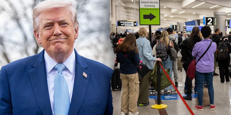 Key House Republican backs Trump plan to send ICE agents to airports