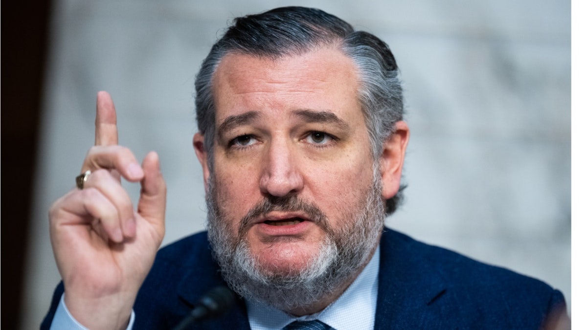 Sen. Ted Cruz, R-Texas, questions Pam Bondi during her Senate Judiciary Committee confirmation hearing in Hart building on Wednesday, Jan. 15, 2025. 