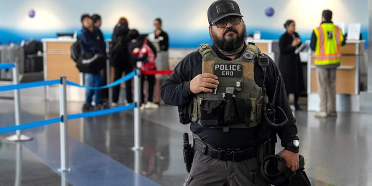Trump deploys ICE to airports as TSA faces shutdown staffing crisis