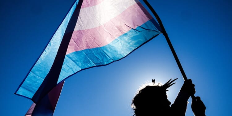 Idaho, Indiana AGs argue Alaska surgery ruling violates 8th Amendment