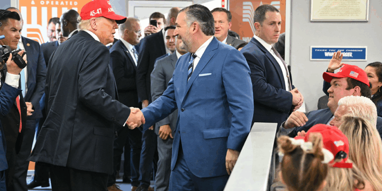 Ted Cruz says the US is 'winning the war' with Iran right now, not losing