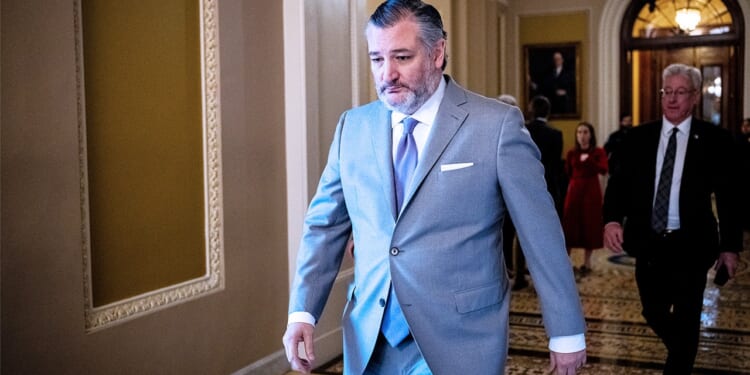 Cruz says Democrats moved the goalposts on DHS funding deal with Trump