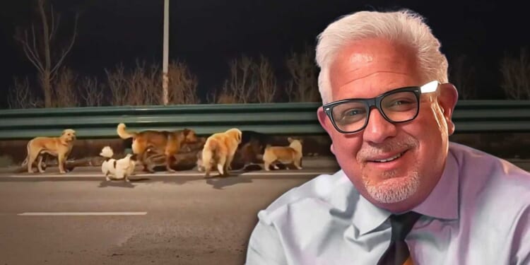 7 dogs destined for China’s illegal meat market miraculously escape and lead each other home — but that's only half the story, says Glenn Beck