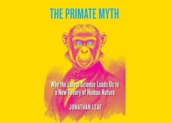 You’re Not a Monkey’s Uncle