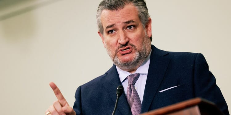 Cruz says Republicans can fund ICE for a decade without Democrats