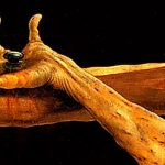 The Paschal Mystery: Our Exodus from Death to Life