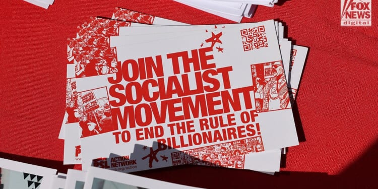 Marxist activists call for May Day strike at ‘No Kings’ protests nationwide