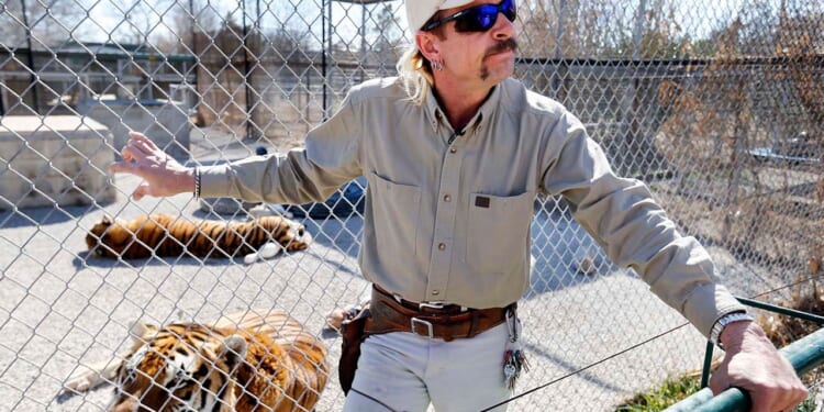Supreme Court declines to hear 'Tiger King' Joe Exotic's challenge after murder-for-hire conviction