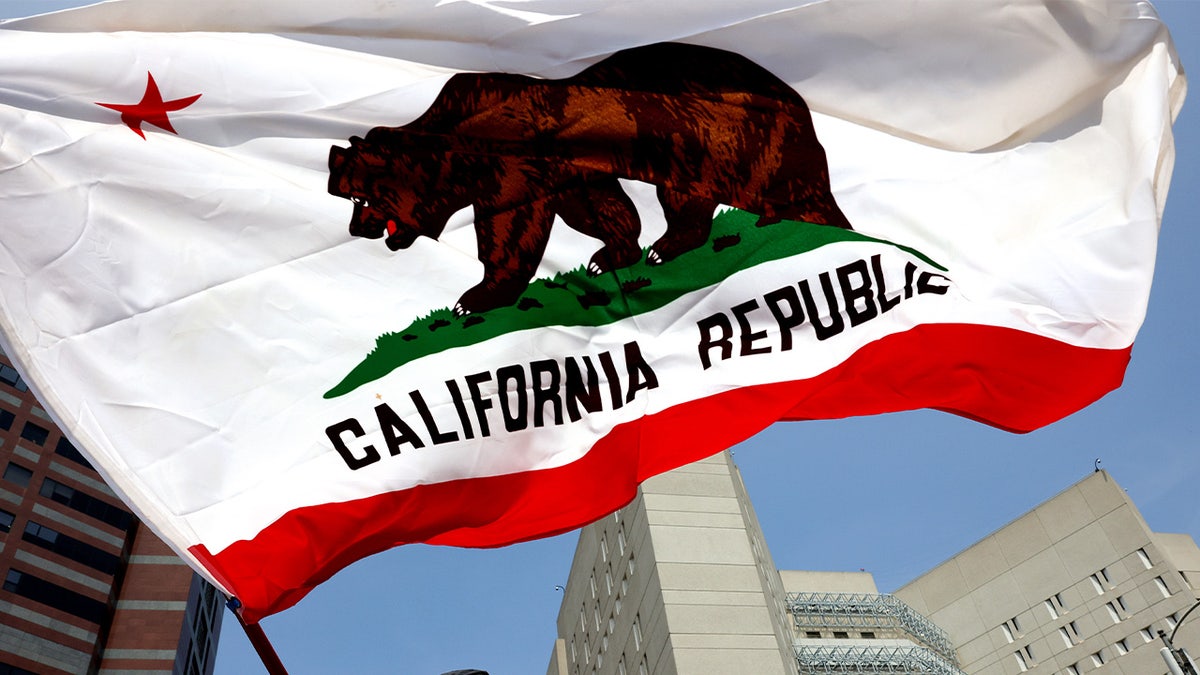 California flag waves at a protest