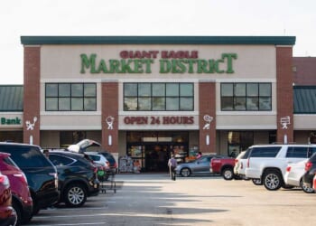 VIDEO: Nude woman with dog in baby stroller bites shopper and attacks others at grocery store, police say