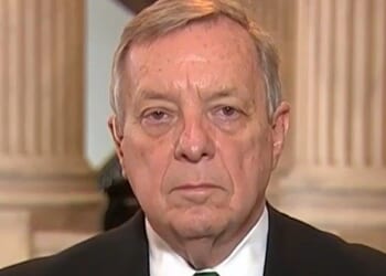 'American Public Is Bewildered' as to Why We Are Striking Iran