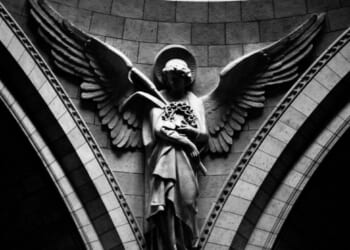 An X-Ray into the Angelic World 