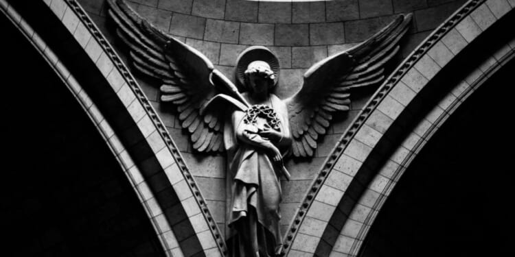 An X-Ray into the Angelic World 