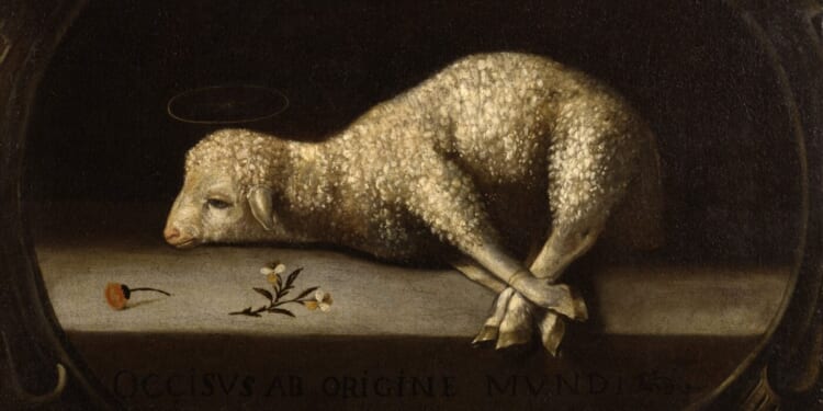 Celebrate Holy Week with The Stations of the Eucharist