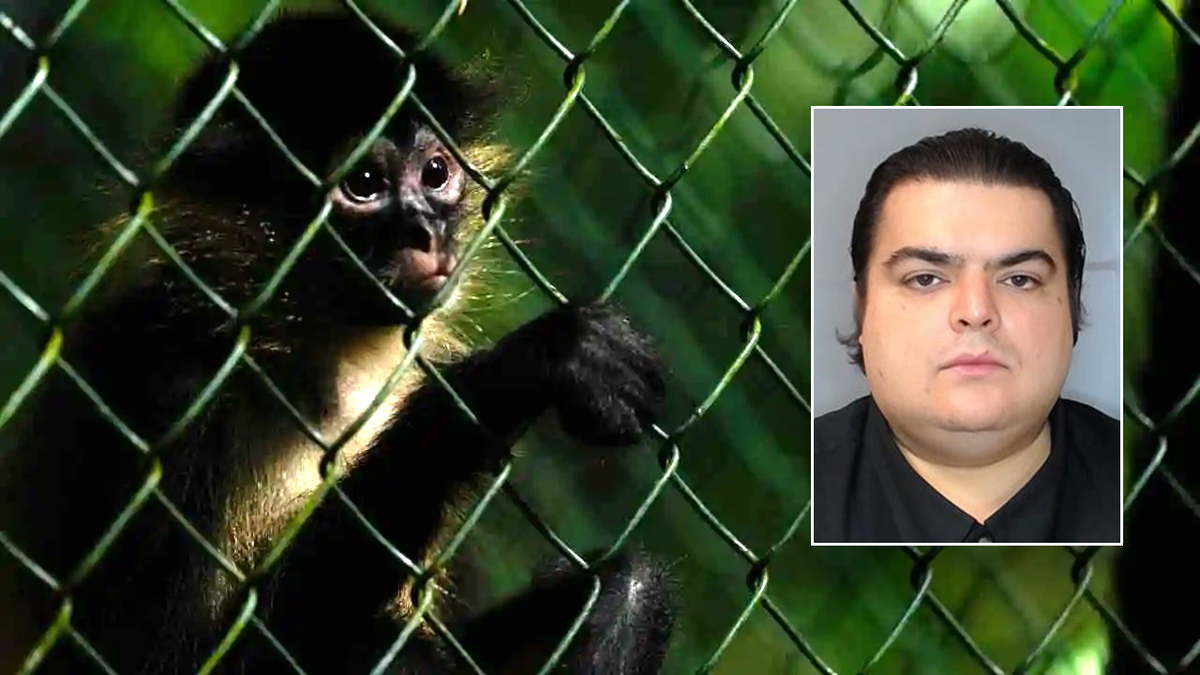 Francisco Javier Ravelo mugshot by monkey in cage