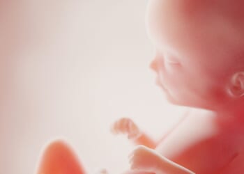 Day of the Unborn Child celebrated today